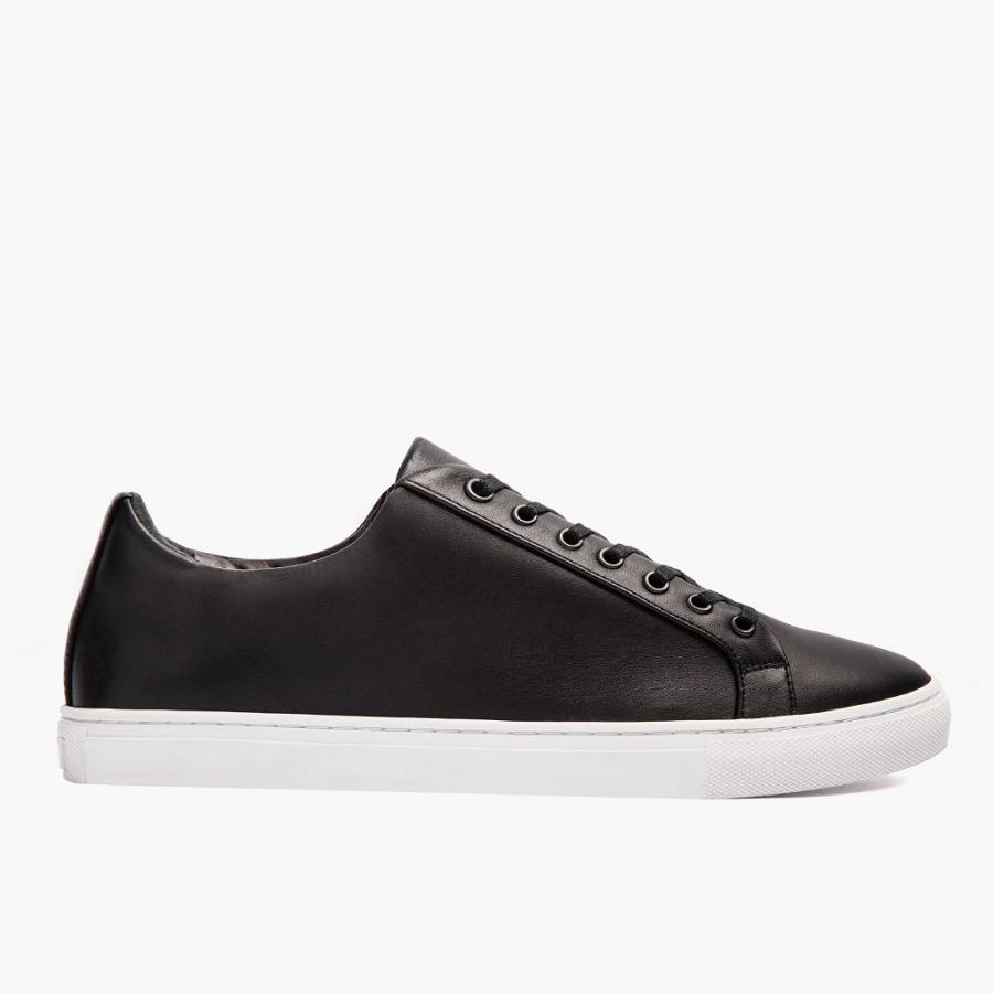 Black Thursday Premier Low Tops Leather Men's Sneakers | SG223BEX