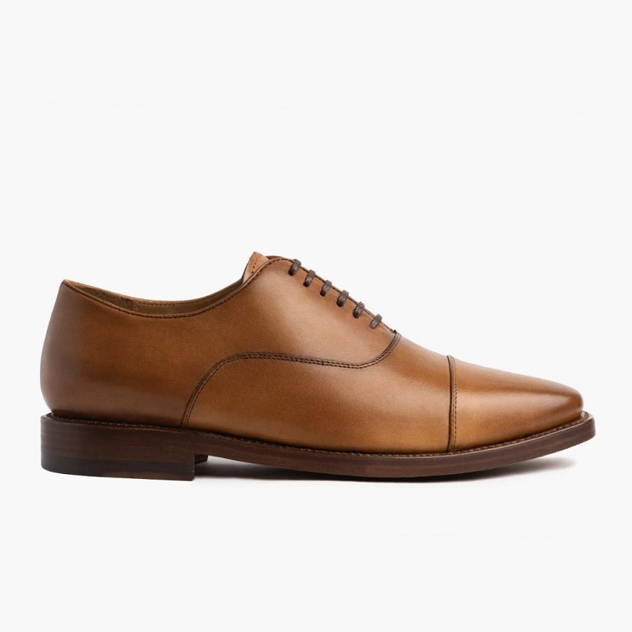 Brown Thursday Executive Leather Men's Dress Shoes | SG245WNB