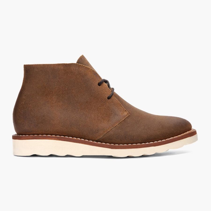 Brown Thursday Scout Suede Men's Chukka Boots | SG60TCE