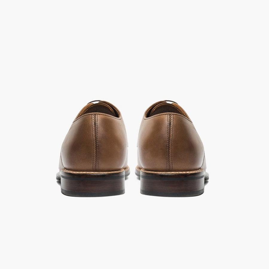 Brown Thursday Statesman Leather Men's Dress Shoes | SG261SGL