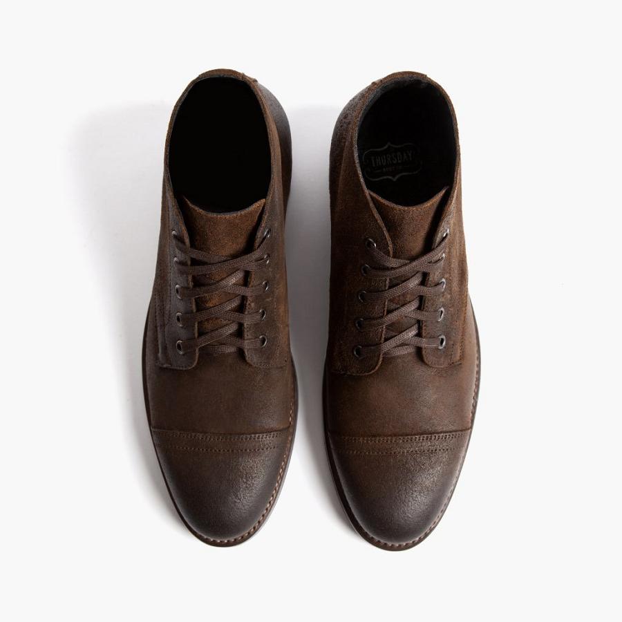 Coffee Thursday Cadet Suede Men's Chukka Boots | SG47KOR