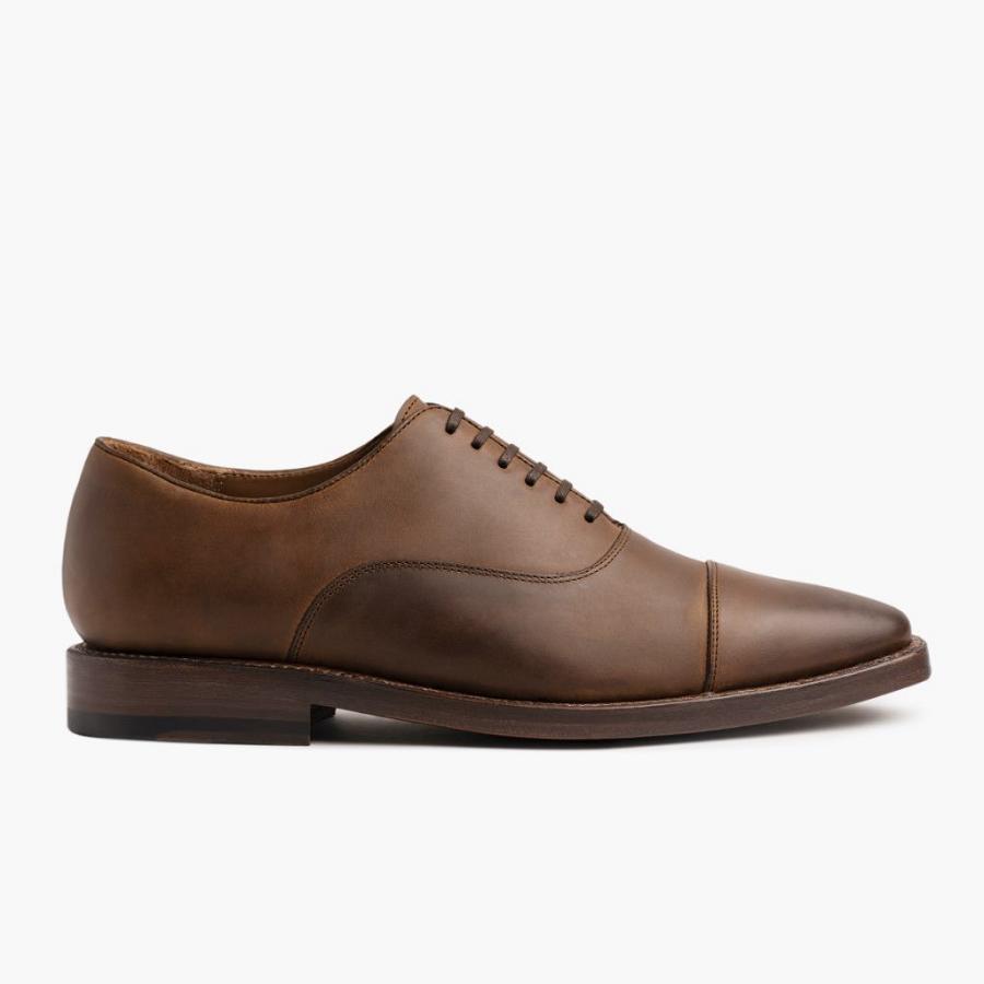 Coffee Thursday Executive Leather Men's Dress Shoes | SG244EBC