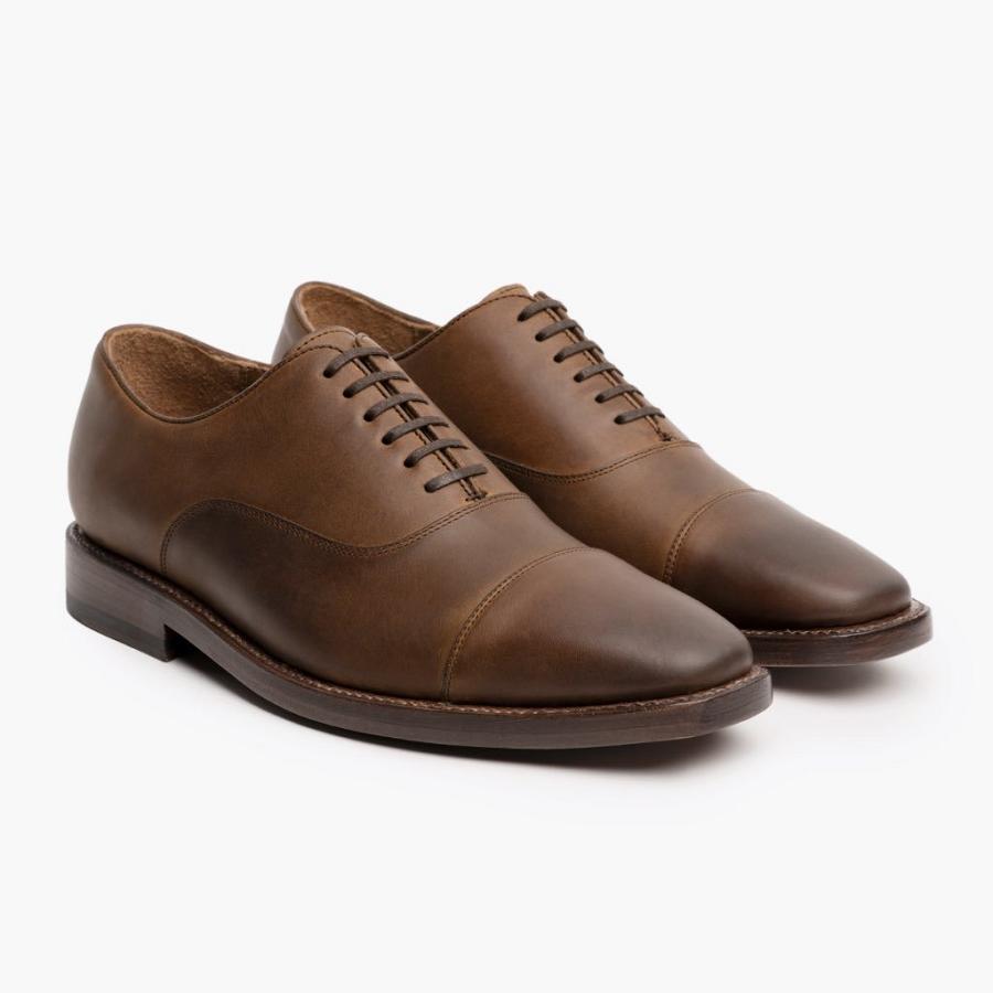 Coffee Thursday Executive Leather Men\'s Dress Shoes | SG244EBC