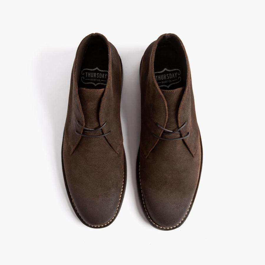 Coffee Thursday Scout Suede Men's Chukka Boots | SG61RVD