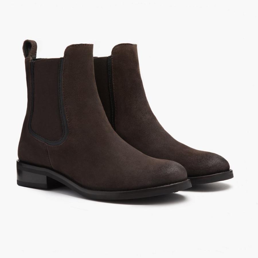 Dark / Brown Thursday Duchess Suede Women's Chelsea Boots | SG370UZG