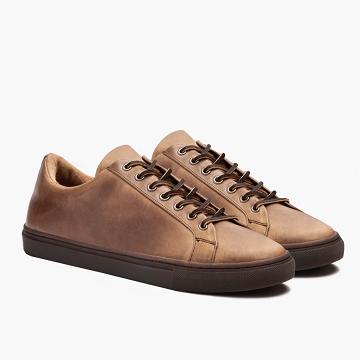 Brown Thursday Premier Low Tops Leather Men's Sneakers | SG225CTV