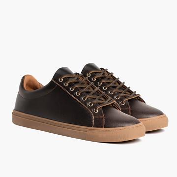 Brown Thursday Premier Low Tops Leather Classic Men's Sneakers | SG230JPQ