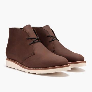 Brown Thursday Scout Leather Men's Chukka Boots | SG53SGL