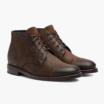 Coffee Thursday Cadet Suede Men's Lace Up Boots | SG70XYU