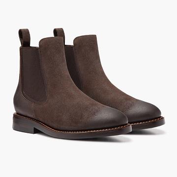 Coffee Thursday Duke Suede Men's Chelsea Boots | SG28AHK