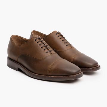 Coffee Thursday Executive Leather Men's Dress Shoes | SG244EBC