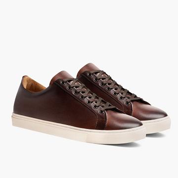 Coffee Thursday Premier Low Tops Leather Rugged & Resilient Men's Sneakers | SG226XYU