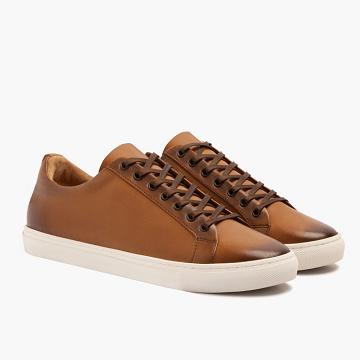 Gold Thursday Premier Low Tops Leather Rugged & Resilient Men's Sneakers | SG227ZUT