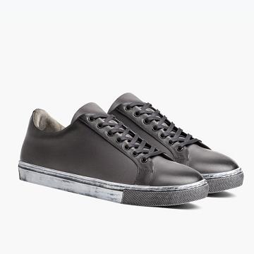 Grey Thursday Premier Low Tops Leather Men's Sneakers | SG221MQZ